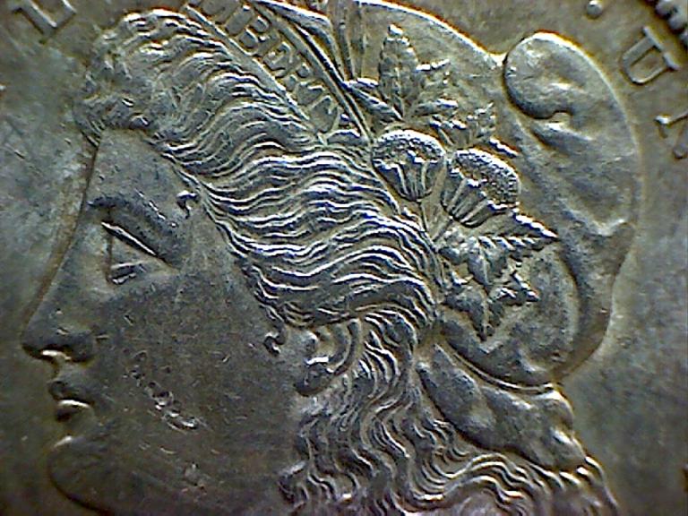 Grade-My-Morgans